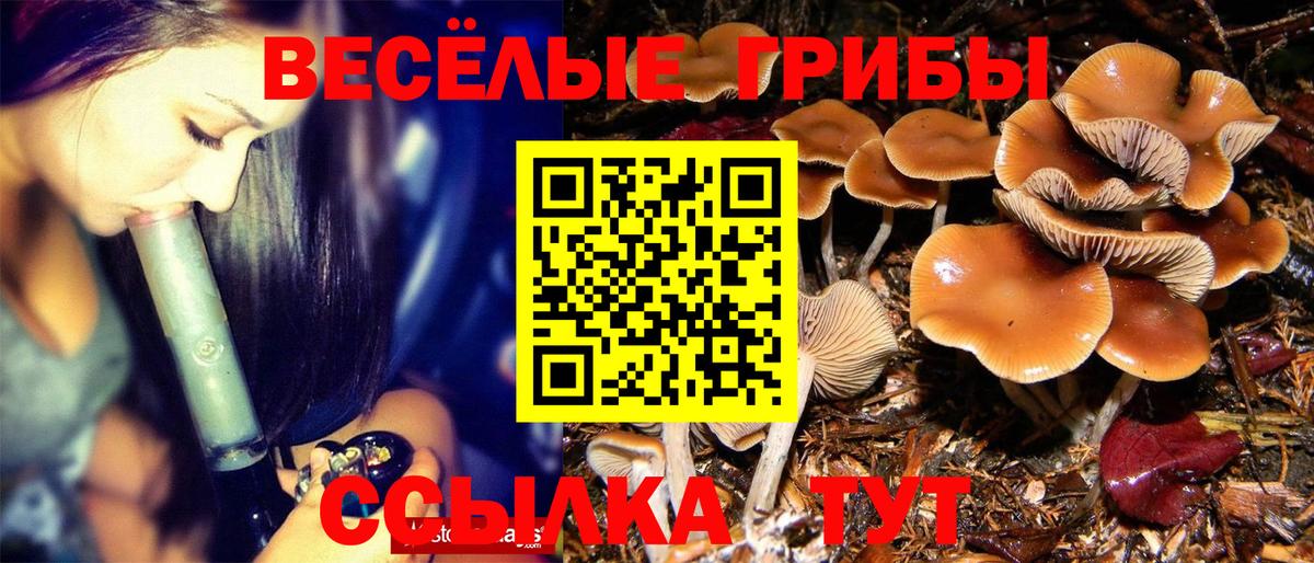 Псилоцибиновые грибы мицелий Мелеуз