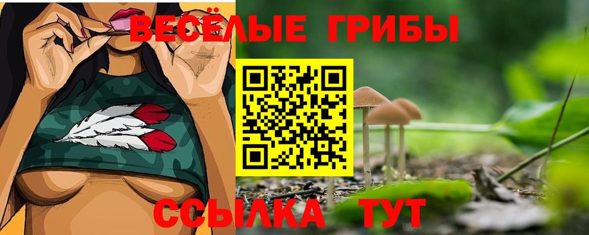 Мелеуз  Псилоцибиновые грибы ЛСД  Вход с VPN  Псилоцибиновые грибы прущие грибы 